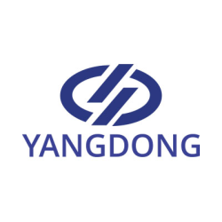 Yang Dong